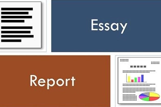 Essay和Report的区别及写作建议