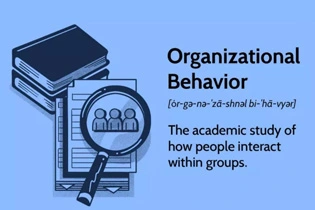留学代写 Organization Behavior论文写作要点
