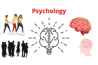 伦敦政治经济学院（LSE) 心理学Psychology硕士论文辅导选择攻略