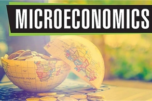 在微观经济学Microeconomics的世界里迷航？香港理工大学考前复习攻略来帮忙！
