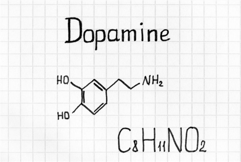 dopamine style 3 day gb graduation thesis high energy template