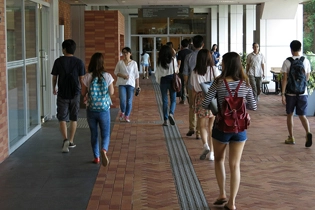 解锁香港大学本硕辅导/代写，助力留学路畅行