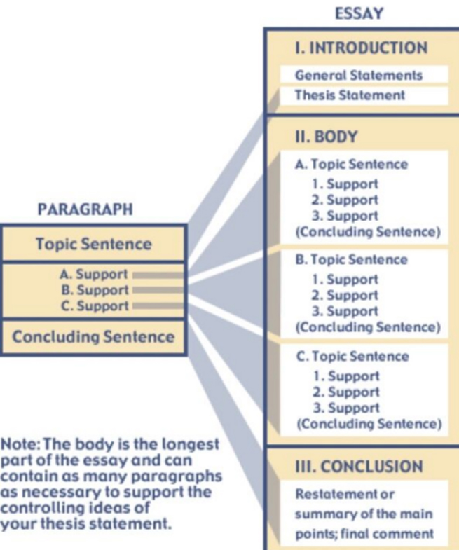 Assessment