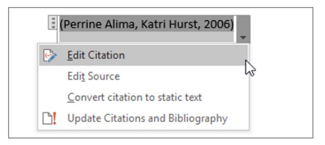 Citation and Reference List