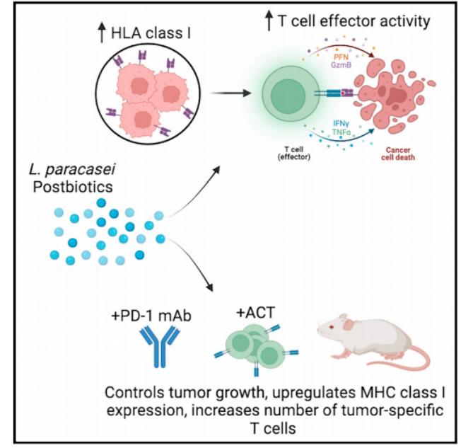 Cancer Cell