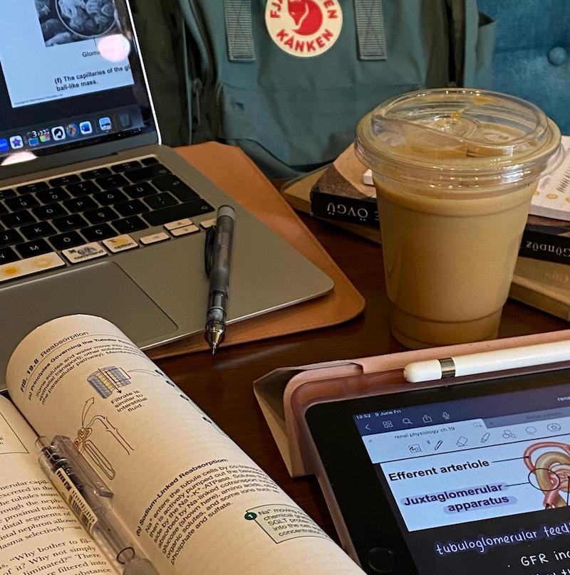 拯救essay！99%留学生不知道的高质量网站