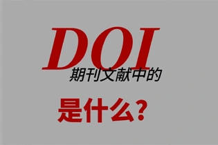 什么是DOI？看看APA、MLA和芝加哥格式中的DOI