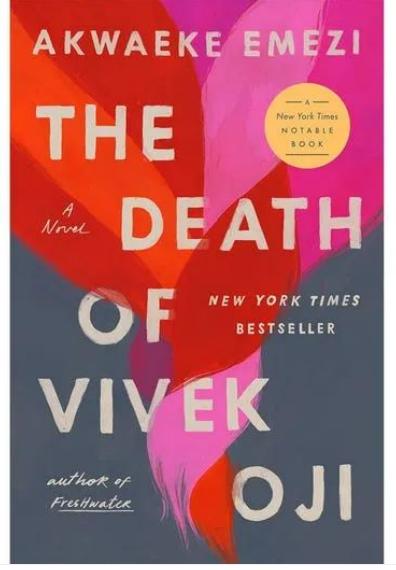 The Death of Vivek Oji