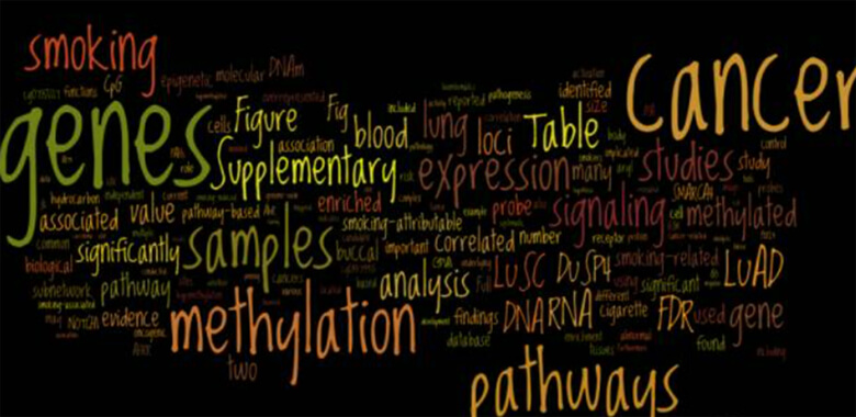Improve the Attractiveness of Your Paper: Use Verbs Skillfully to Add Literary Flair