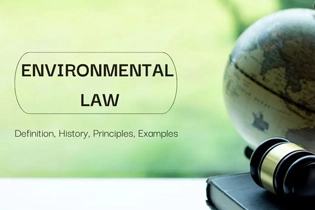 撰写西悉尼大学环境法Environmental Law论文：全面指导与实践策略