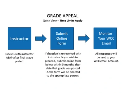 新南威尔士大学UNSW会计学挂科申诉Grade Appeal辅导