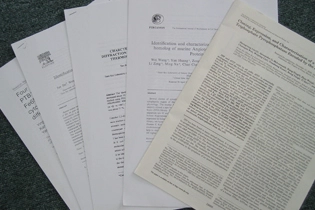 学术 Essay 写作类型有哪些？