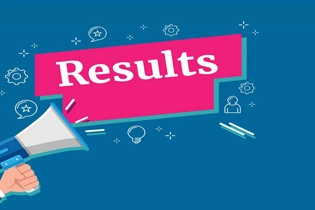 毕业论文result部分框架