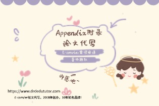 Appendix附录论文代写：E-convier资深母语导师团队