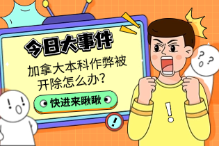 加拿大本科作弊被开除怎么办.png