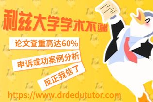 论文查重高达60%，利兹大学学术不端申诉成功案例分析