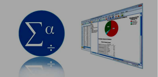 描述性统计分析（Descriptive Statistics）