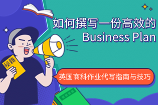如何撰写一份高效的Business Plan：英国商科作业代写指南与技巧