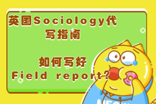 英国Sociology代写指南.png