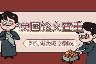 如何避免逐字剽窃.png