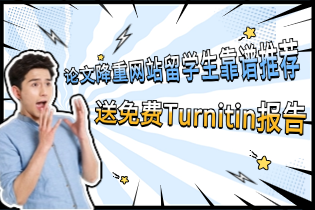 论文降重网站留学生靠谱推荐，E-convier-送免费Turnitin报告