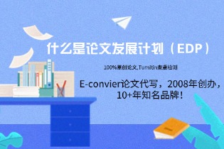 论文发展计划（EDP）.jpg