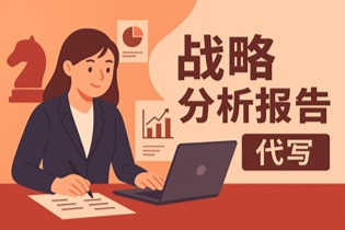 BUSN 2010 Strategy Analysis Report 代写：如何写出高分战略分析报告？