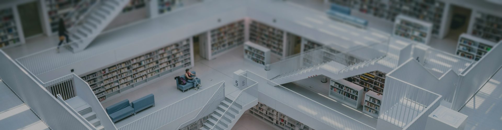 留学个性化定制课