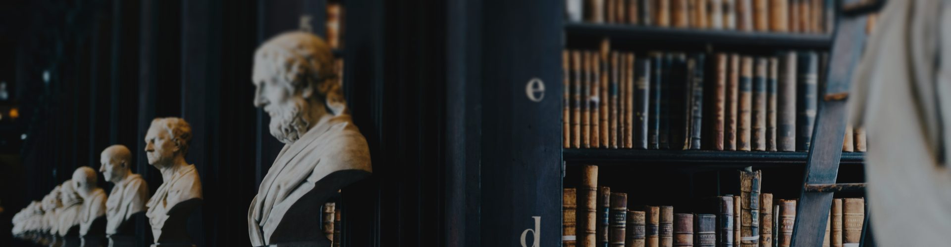 法学 （Law）
