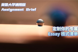 英国大学通用版 Assignment Brief，定制你的专属 Essay 格式清单